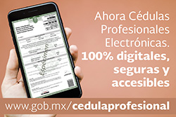 Cédula Profesional Electrónica