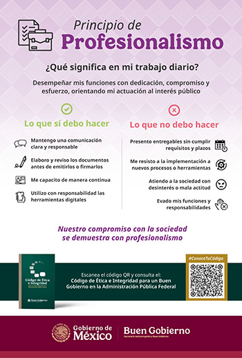 principios_profesionalismo
